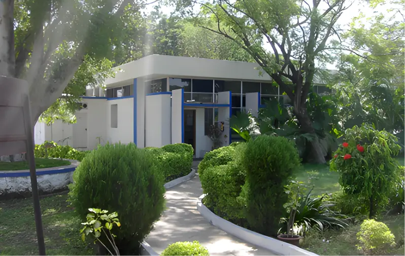 TCSI History TCSI History